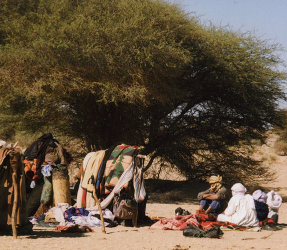 Opferfest bei Tuareg-Nomaden