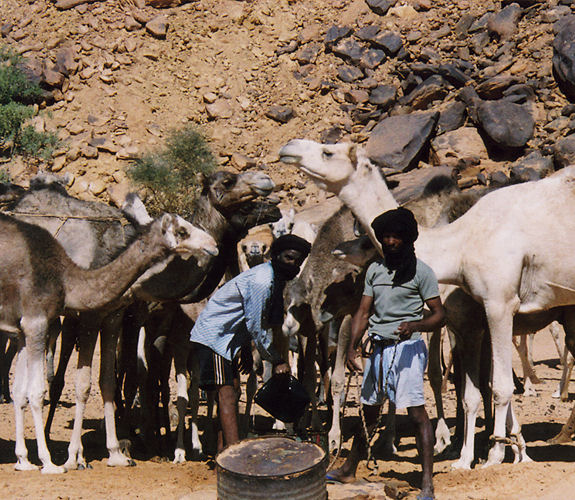 Zu Besuch bei Nomaden in der mauretanischen Sahara
